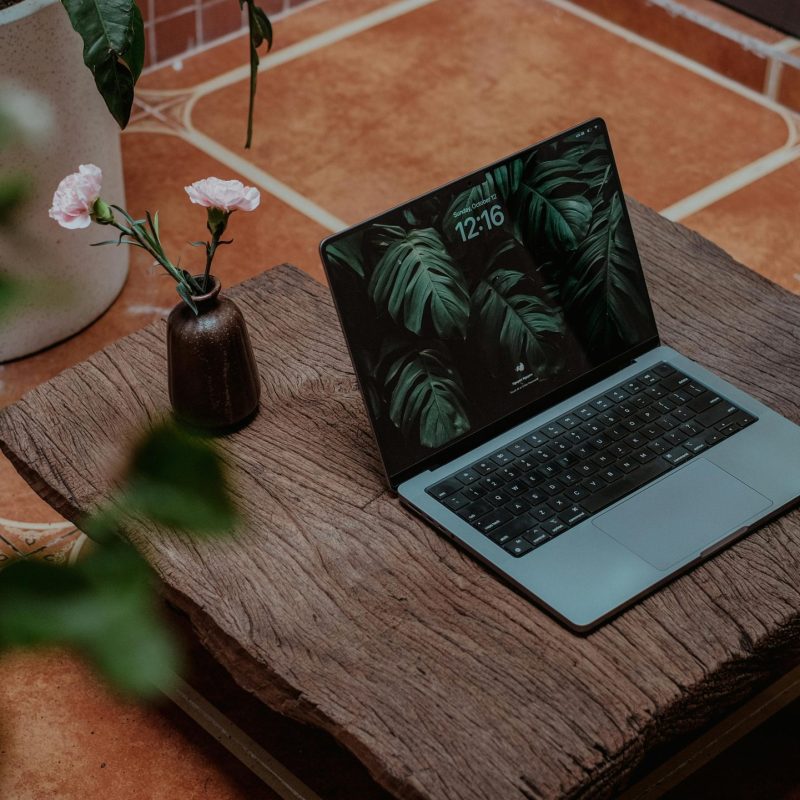 pexels-nguyendesigner-34332317
